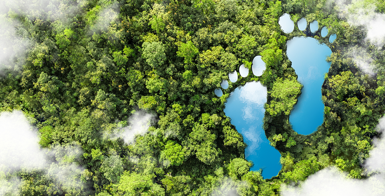 OUR FOOTPRINTS